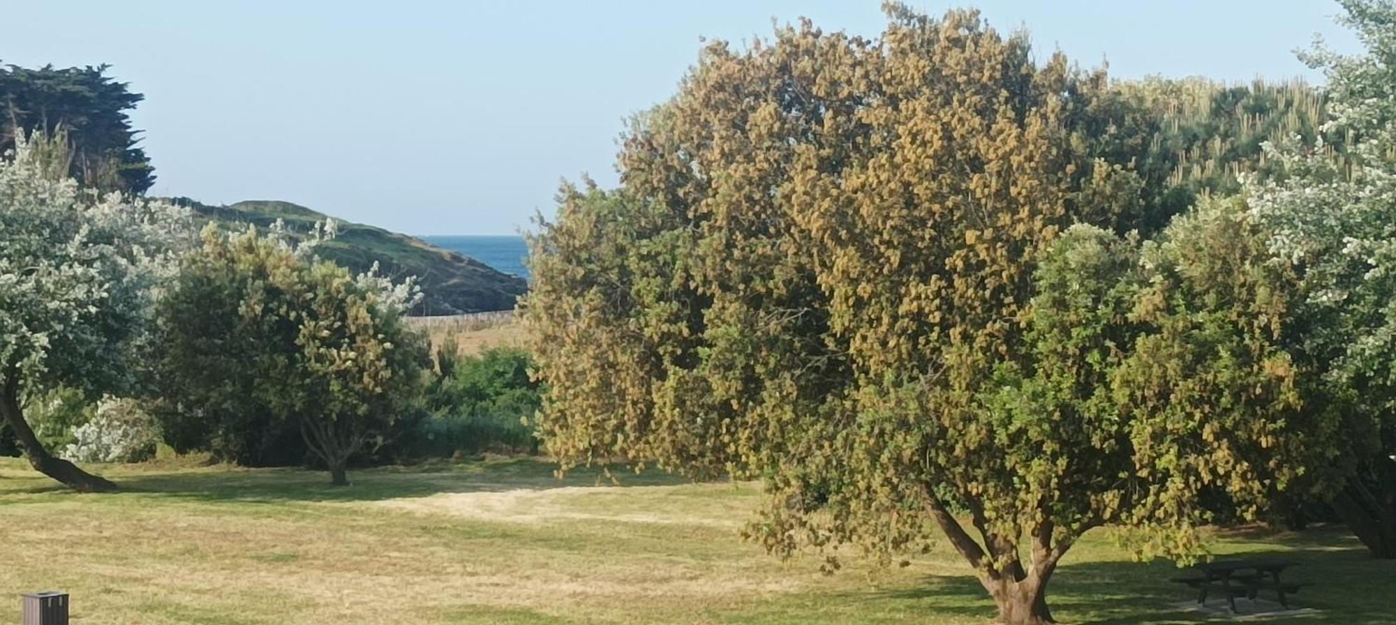 Appartement Vue Mer Exceptionnelle A 100M Tres Belle Plage Saint-Gildas-de-Rhuys Buitenkant foto